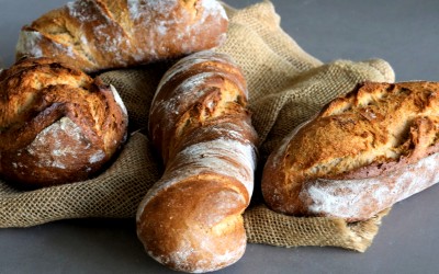 CreaFarine Amidonnier-Engrain 60 %